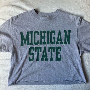 Gray Michigan State T-Shirt